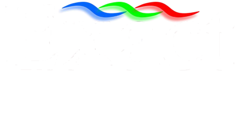Exact Global, Your exact solution