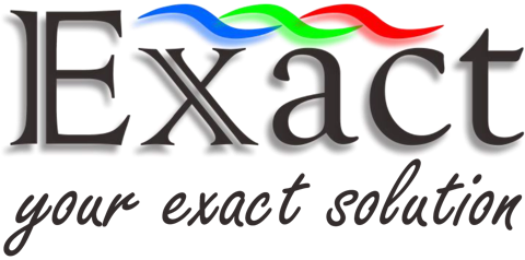 Exact Global, Your exact solution